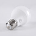 Λάμπα LED E27 A60 Γλόμπος 10W 1160lm 260° AC 220-240V IP20 Φ6 x Υ11cm Ψυχρό Λευκό 6000K - 3 Years Warranty