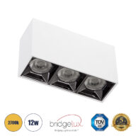 Επιφανειακό LED Spot Downlight TrimLess 12W 1620lm 36° AC 220-240V IP20 Μ11.8 x Π4.2 x Υ6.6cm – Λευκό με Κάτοπτρο Χρωμίου – Θερμό Λευκό 2700K – Bridgelux High Lumen Chip Gen2 – TÜV Certified Driver – 5 Years Warranty