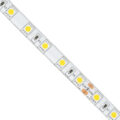 Ταινία LED SMD 5050 5m 14.4W/m 60LED/m 1584 lm/m 120° DC 24V Αδιάβροχη IP65 Ψυχρό Λευκό 6000K - 5 Χρόνια Εγγύηση