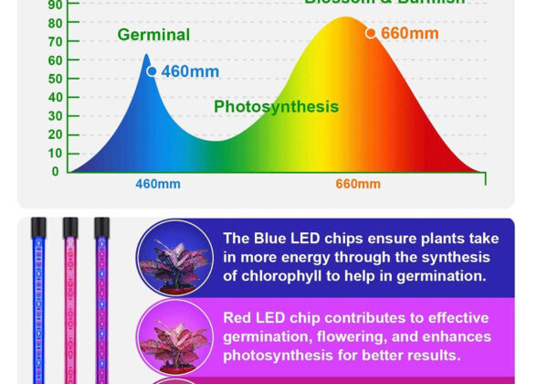 Grow Light Full Spectrum LED Φωτιστικό Ανάπτυξης Φυτών Γλάστρας με 4 Κινούμενες Κεφαλές & Βάση Μανταλάκι Clip SMD 2835 20W 160° AC230V IP20 με Dimmer & Timer Εσωτερικού Χώρου για Κάλυψη Επιφάνειας 1m x 1m Πλήρους Φάσματος Φωτισμού