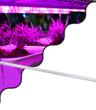 Linear Grow Light Full Spectrum LED Γραμμικό Φωτιστικό Ανάπτυξης Φυτών Θερμοκηπίου 120cm SMD 2835 80W 160° AC230V IP54 Εσωτερικού Χώρου για Κάλυψη Επιφάνειας 1.2m x 1.2m Πλήρους Φάσματος Φωτισμού