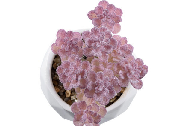 GloboStar® Artificial Garden SUCCULENT SEDUM 20988 Διακοσμητικό Φυτό Παχύφυτο Σέδο Υ10cm