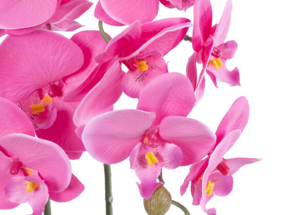 GloboStar® Artificial Garden PINK ORCHID 21116 Διακοσμητικό Φυτό Ροζ Ορχιδέα Υ45cm