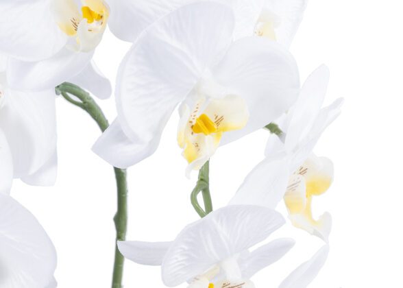 GloboStar® Artificial Garden WHITE ORCHID 21117 Διακοσμητικό Φυτό Λευκή Ορχιδέα Υ45cm