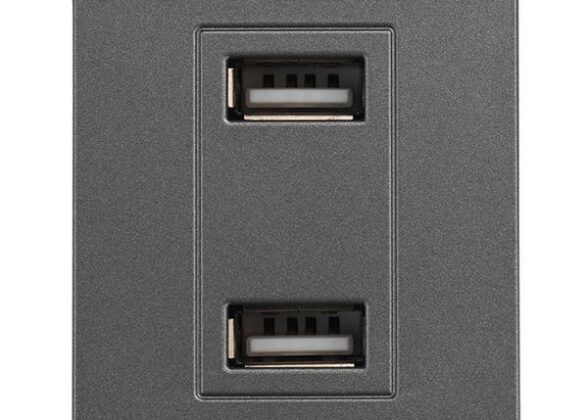 ΠΡΙΖΑ 2 Χ USB MODULES ΓΡΑΦΙΤΗΣ