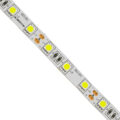 Ταινία LED SMD 5050 5m 14.4W/m 60LED/m 1584lm/m 120° DC 12V IP20 Ψυχρό Λευκό 6000K - 5 Χρόνια Εγγύηση