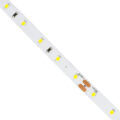 Ταινία LED 6W/m 720lm/m 120° DC 24V IP20 - 60 x SMD 2835 LED Chip/Μέτρο - Μ5000 x Π8 x Υ1mm - Ρολό 5 Μέτρων - Ψυχρό Λευκό 6000K - 5 Χρόνια Εγγύηση