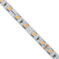 Ταινία LED SMD 5050 5m 14.4W/m 60LED/m 800lm/m 120° DC 24V IP20 Ροζ - 5 Χρόνια Εγγύηση