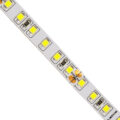 Ταινία LED SMD 2835 5m 8W/m 120LED/m 1280 lm/m 120° DC 24V IP20 Ψυχρό Λευκό 6000K - 5 Χρόνια Εγγύηση